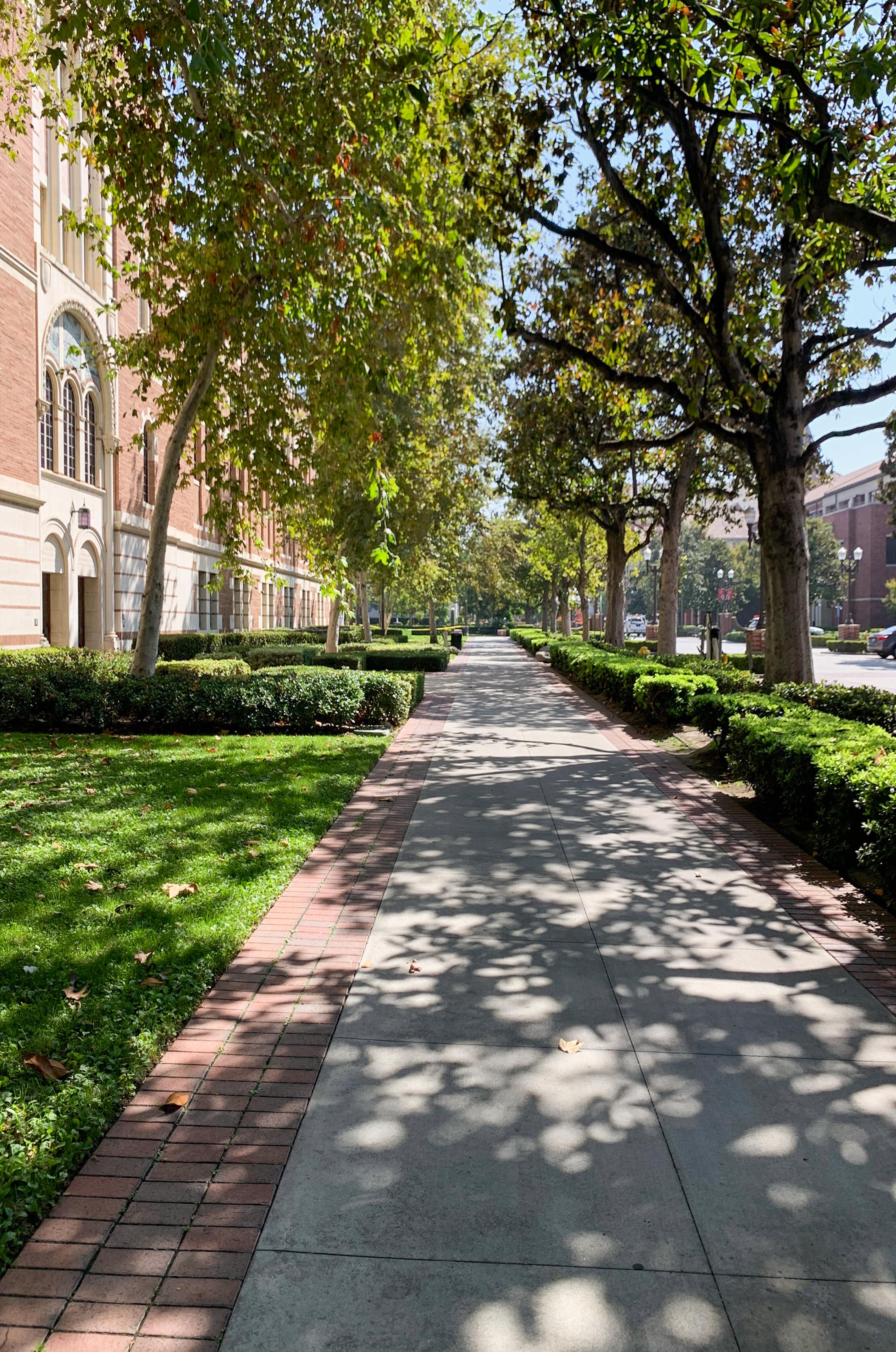 A pathway at USC